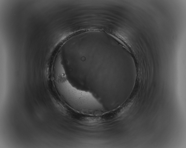X0000087020351200704161605