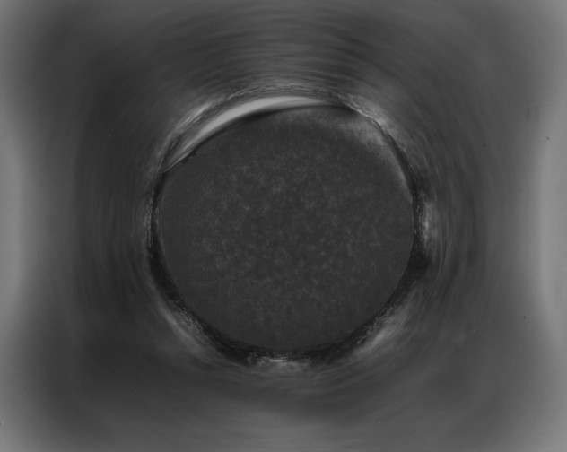 X0000087020352200704161605