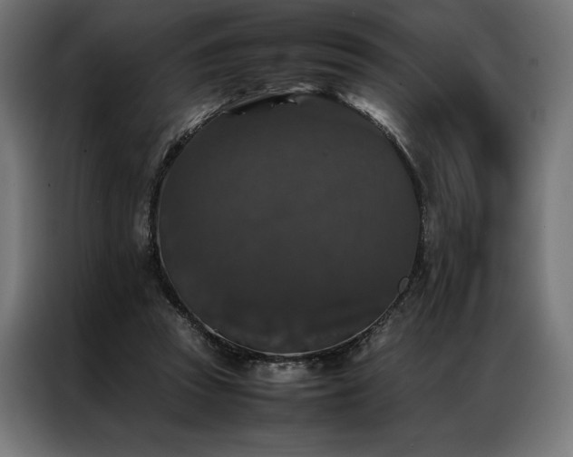 X0000087020353200704161605
