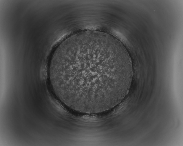 X0000087020354200704161605
