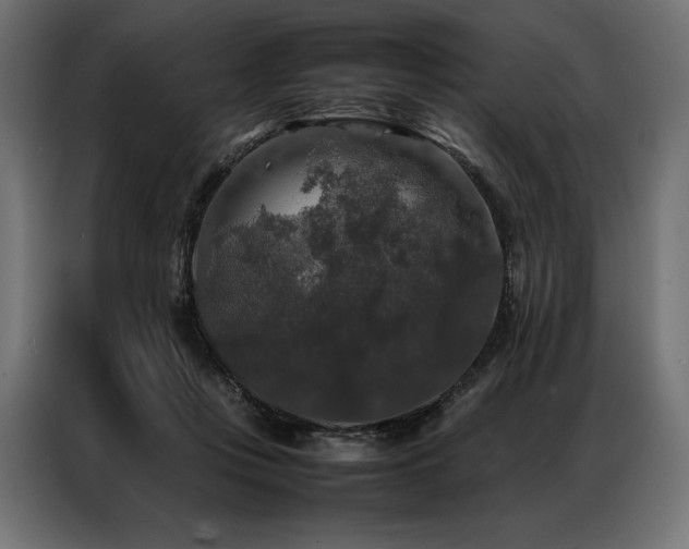 X0000087020359200704161605