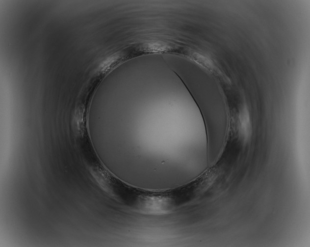 X0000087020360200704161605