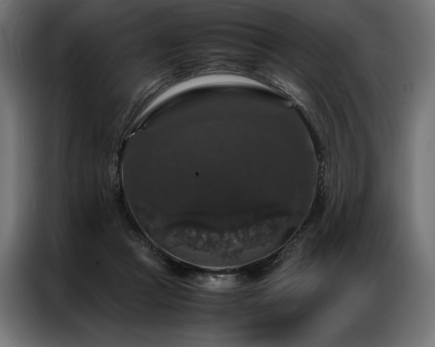 X0000087020361200704161605