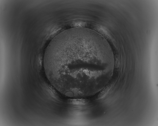 X0000087020363200704161605