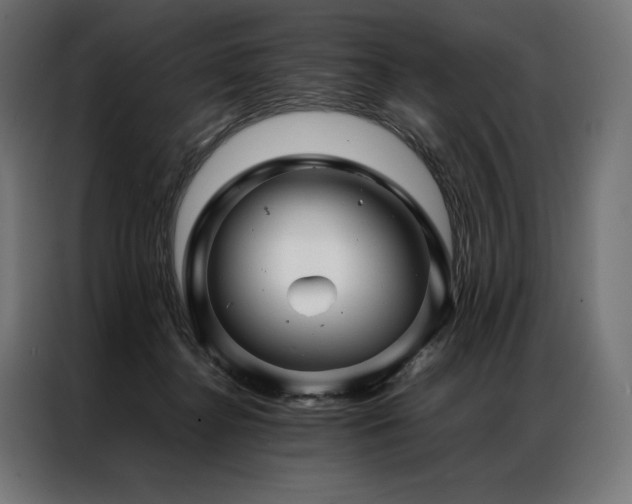 X0000087020364200704161605