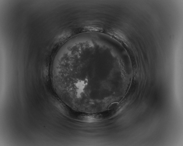 X0000087020365200704161605