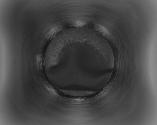 X0000087020366200704161605