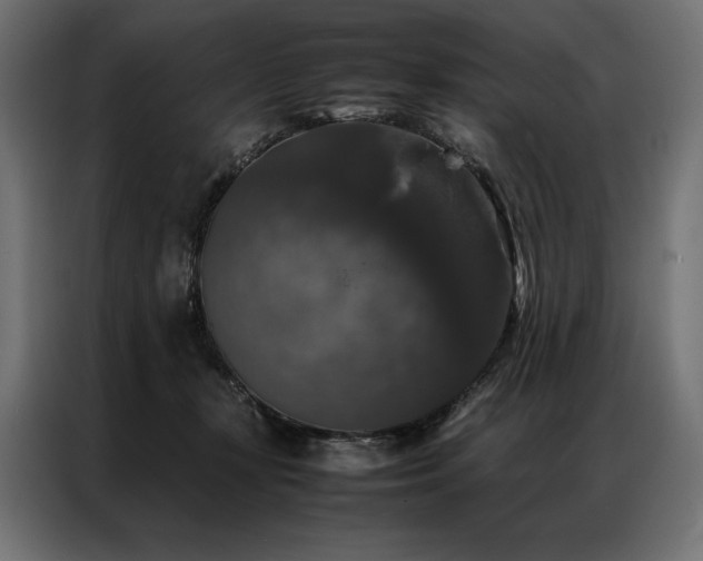 X0000087020367200704161605