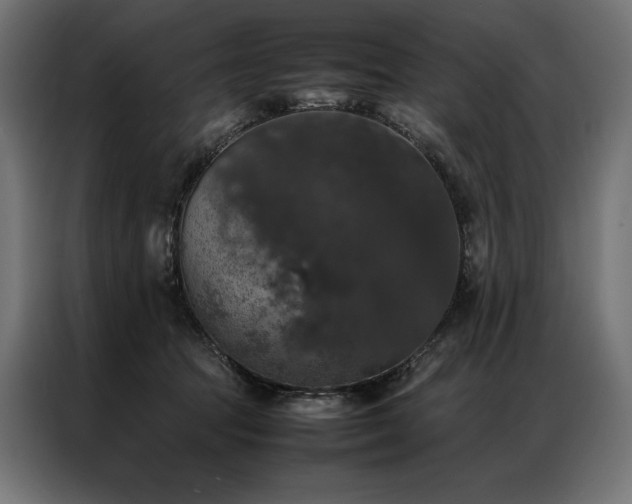 X0000087020369200704161605