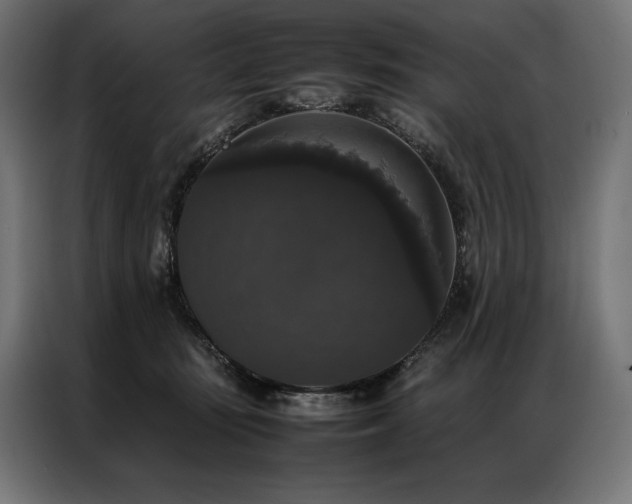 X0000087020371200704161605