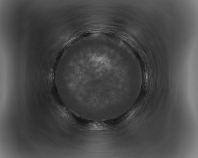 X0000087020372200704161605