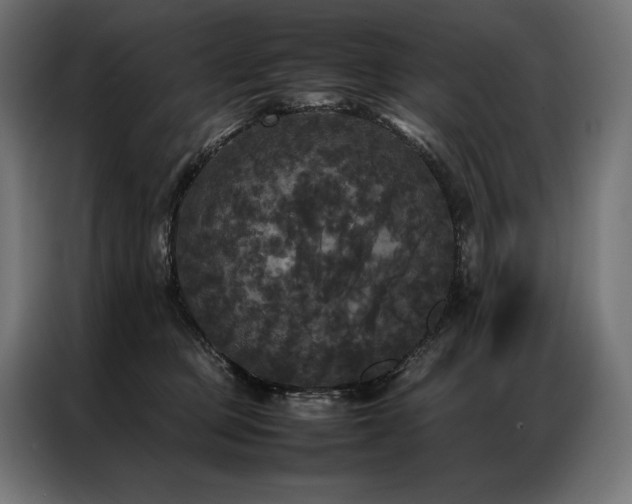 X0000087020373200704161605