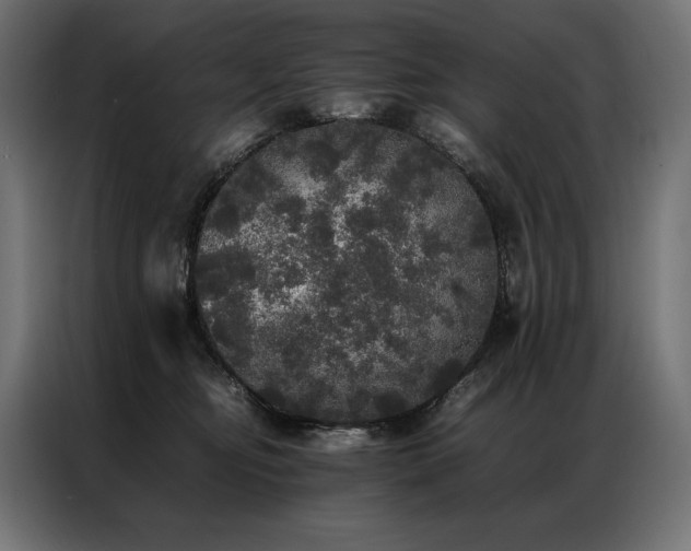 X0000087020374200704161605