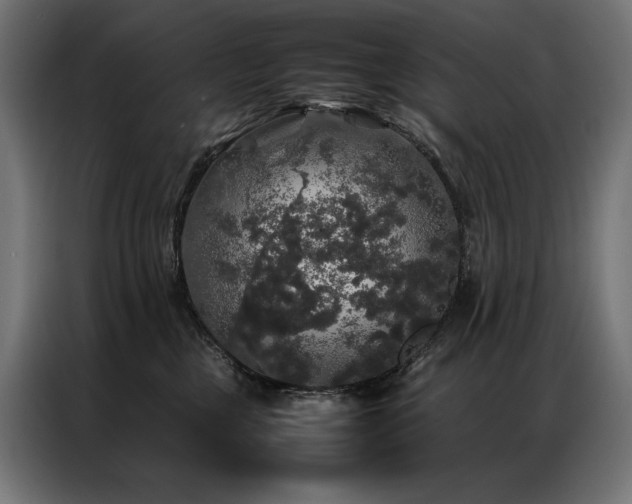 X0000087020377200704161605