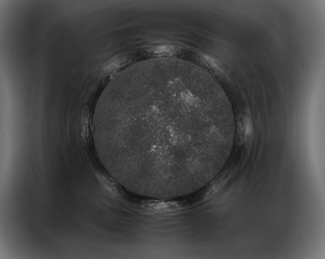 X0000087020379200704161605
