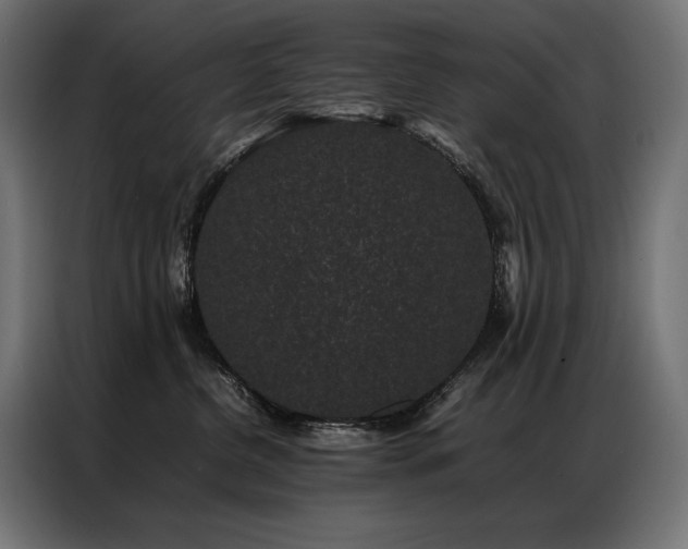 X0000087020380200704161605