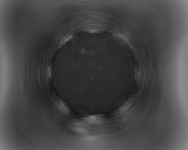 X0000087020382200704161605