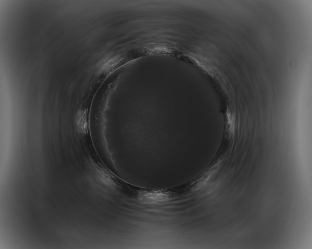 X0000087020383200704161605
