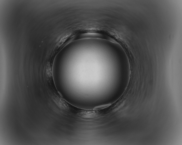 X0000087020384200704161605