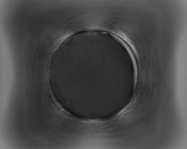 X0000087020385200704161605