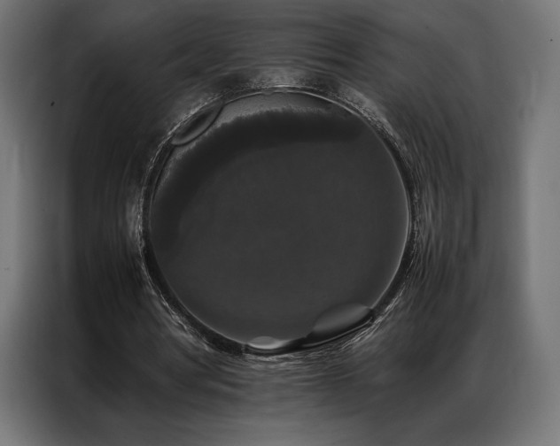 X0000087020386200704161605
