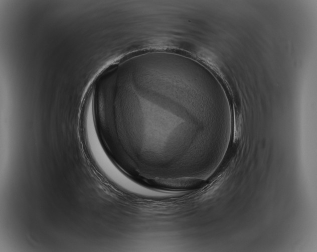 X0000087020387200704161605
