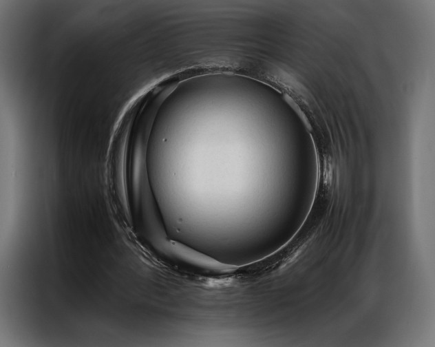 X0000087020388200704161605