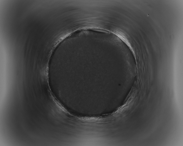 X0000087020389200704161605