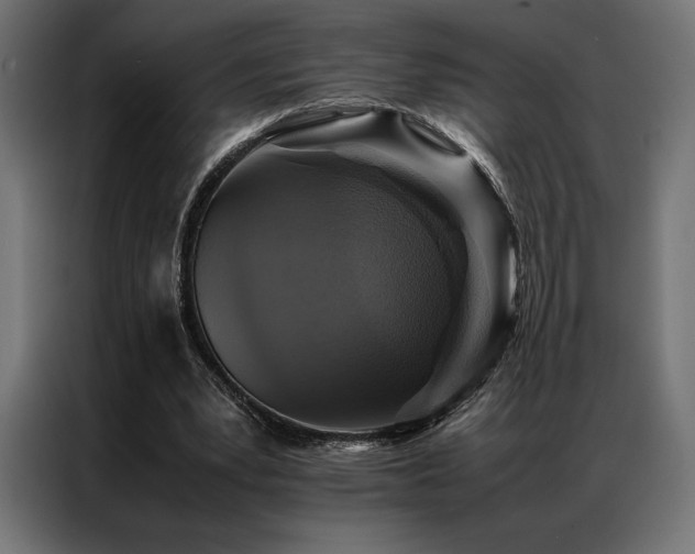 X0000087020391200704161605