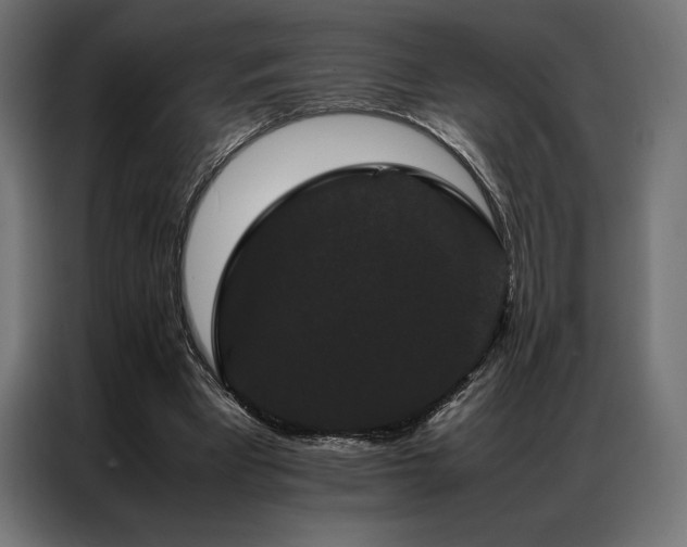 X0000087020393200704161605