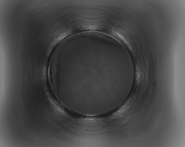 X0000087020394200704161605
