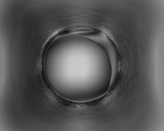 X0000087020395200704161605