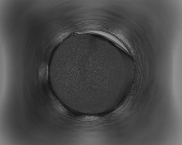X0000087020397200704161605