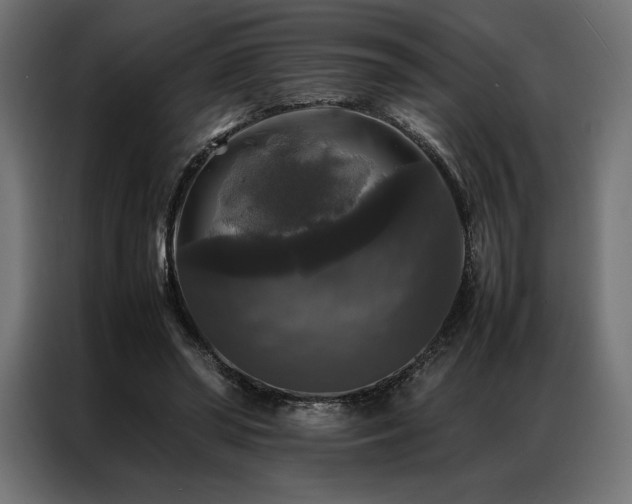 X0000087020398200704161605