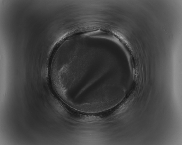 X0000087020399200704161605