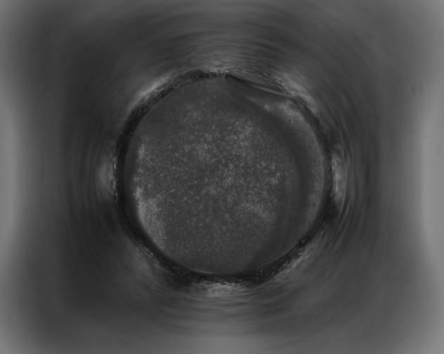 X0000087020400200704161605