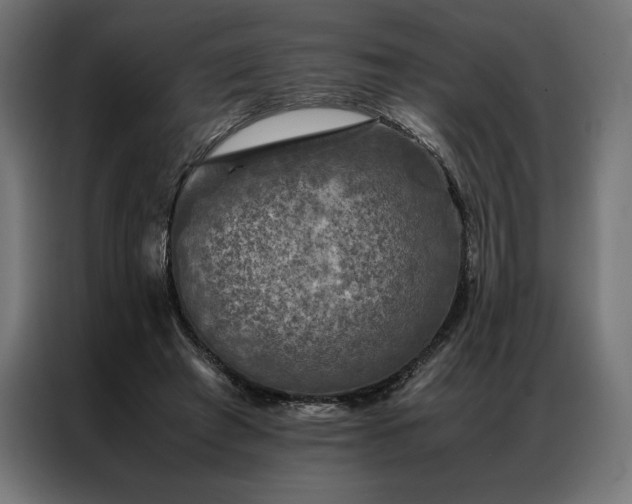 X0000087020401200704161605