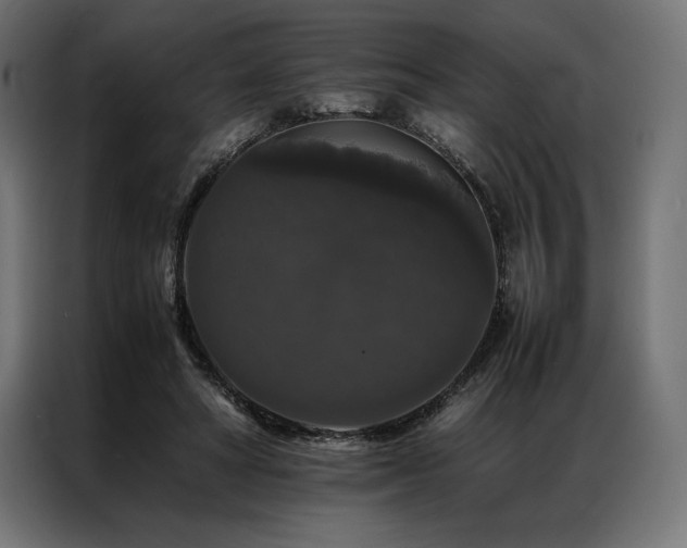 X0000087020402200704161605