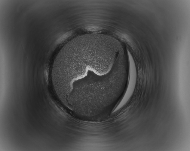 X0000087020404200704161605
