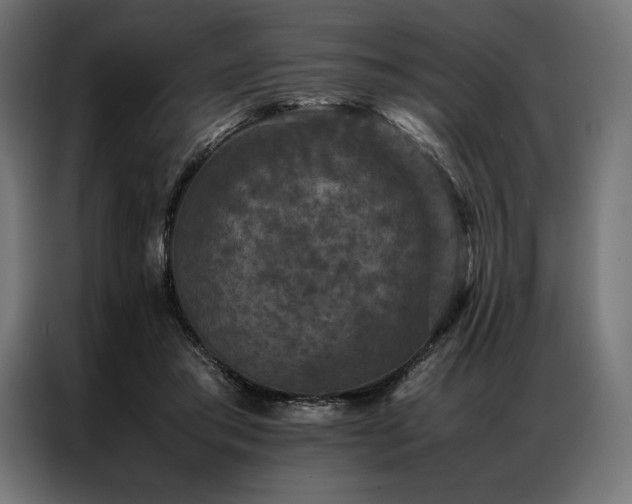 X0000087020405200704161605