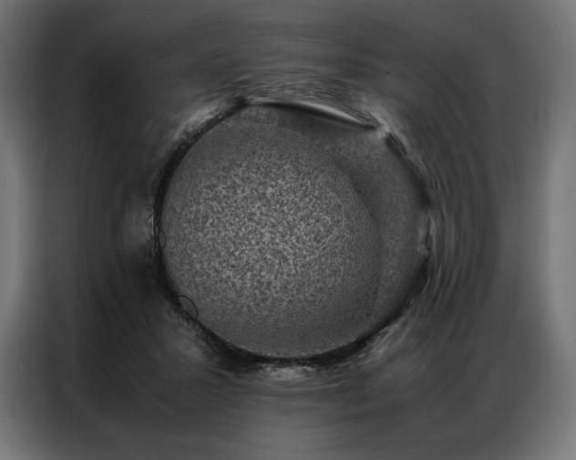 X0000087020407200704161605