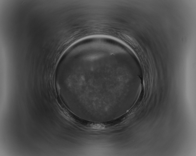 X0000087020409200704161604