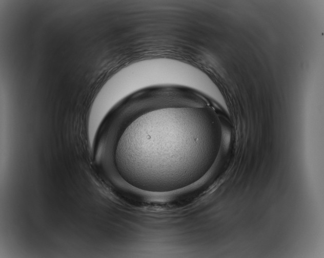X0000087020412200704161604
