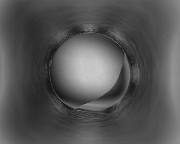 X0000087020413200704161604
