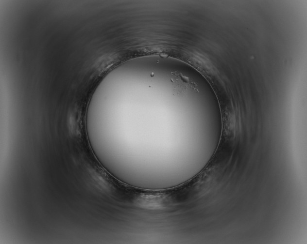 X0000087020414200704161604