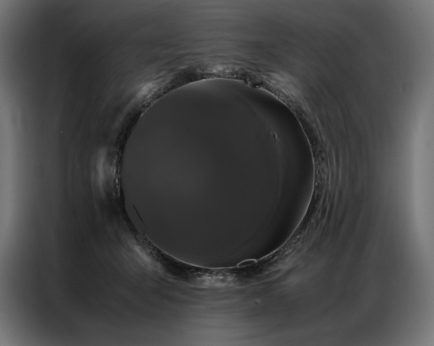 X0000087020415200704161604