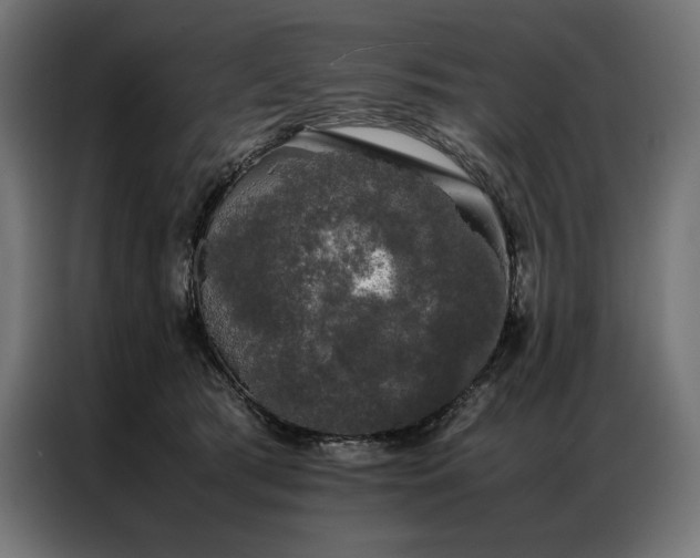 X0000087020417200704161604