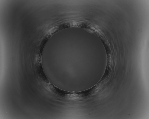 X0000087020419200704161604