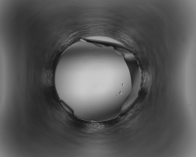X0000087020421200704161604