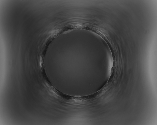 X0000087020423200704161604